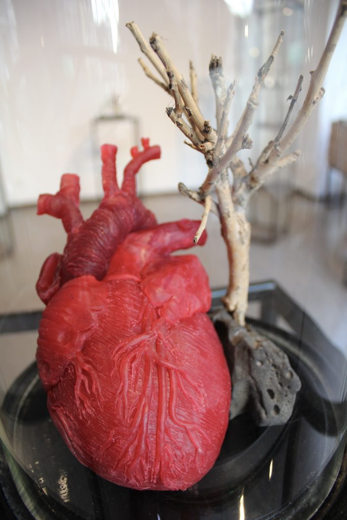 Heart of Wax Modelierwax, Stein und Geäst vom Rhein, 2025