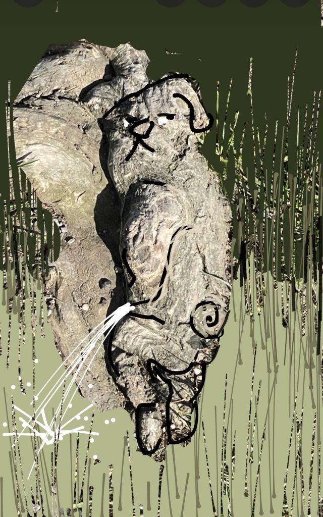 Pissing Dog
Berlin 2022