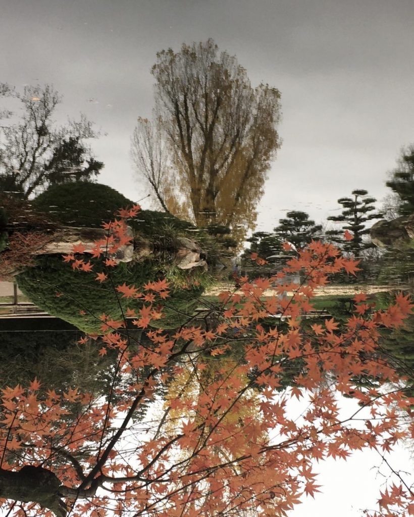 upside down im Nordpark