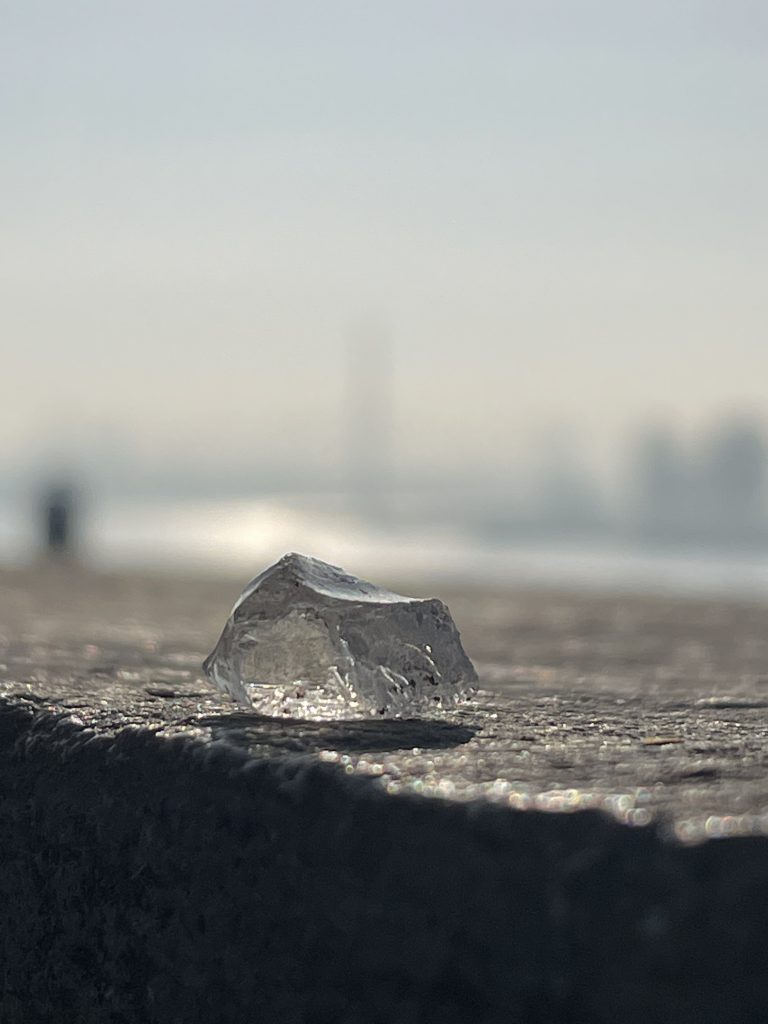 Winterglas
2025