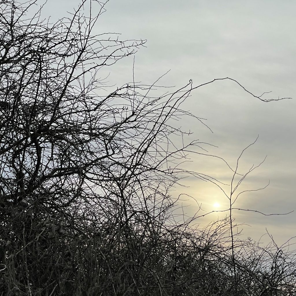 Milchsonne im Winter 
2025