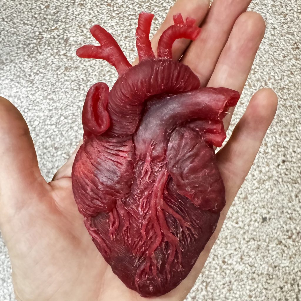 Heart of Wax,
2025 