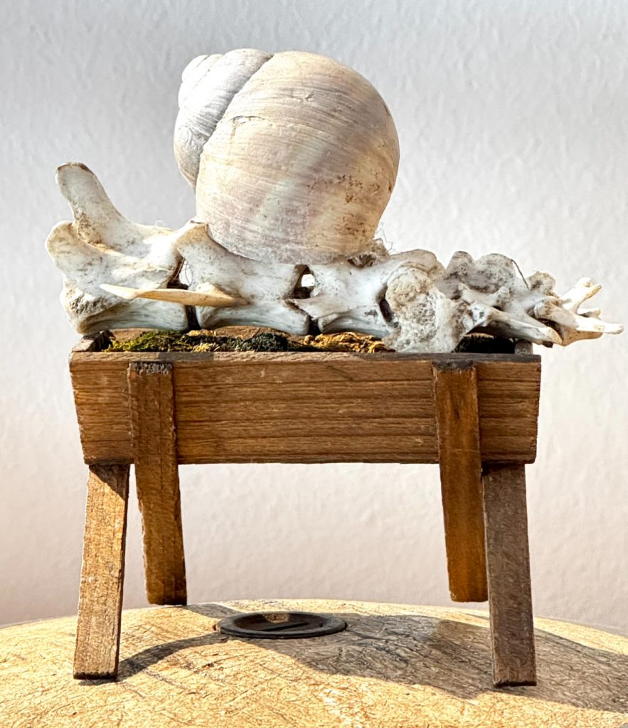 A Child is born Wirbelknochen, Schnecke, Krippenutrensil, Diskusscheibe, 2025