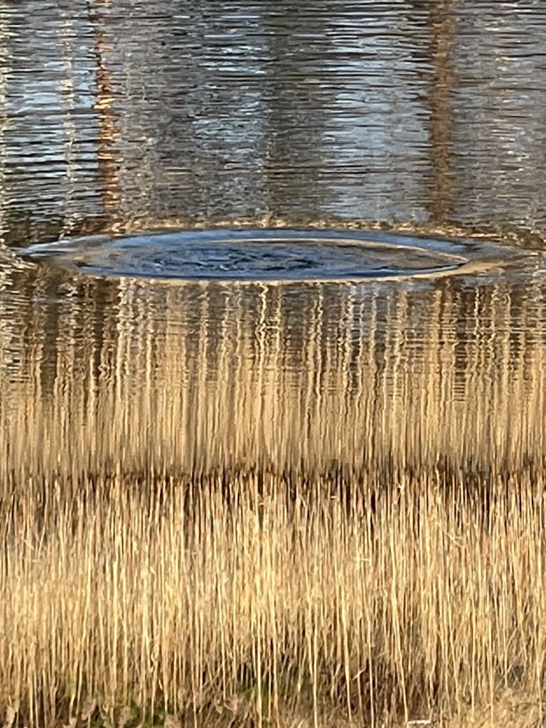 Loch in der Matrix 2023 