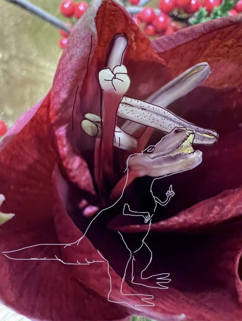 Amaryllis im Mesozoikum
2023