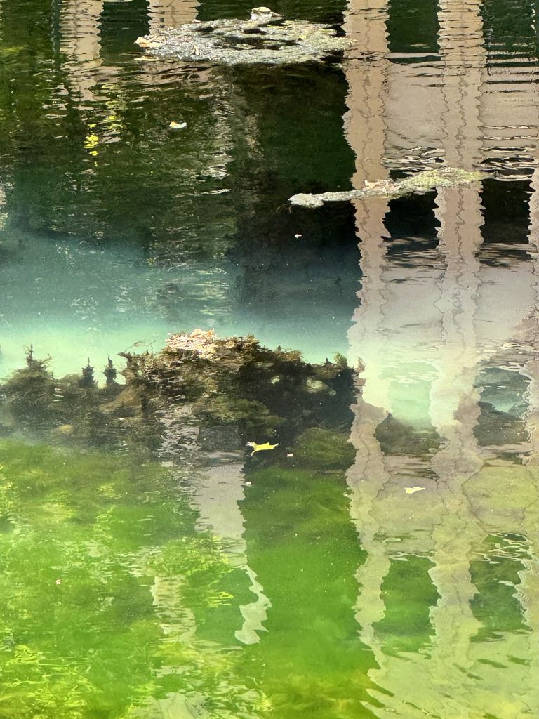 Atlantis lag im Kögraben!
Düsseldorf, 2024